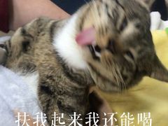 -% Arabica阿拉比卡咖啡(深圳湾万象城店)