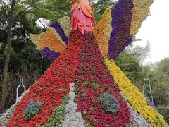 -深圳市中科院仙湖植物园