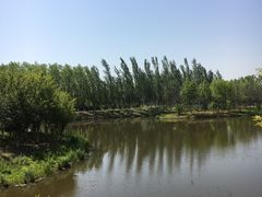 -东郊湿地公园