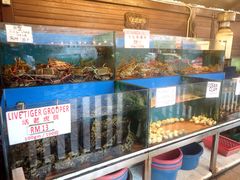 景观位-真浪花园海鲜餐馆