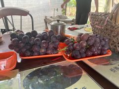 -马陆小张葡萄园农家乐