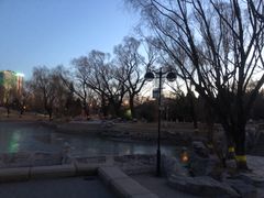 -万柳阁小馆·花园餐厅(龙潭湖店)