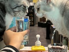 -咖法森林·咖啡  酒吧(天河店)