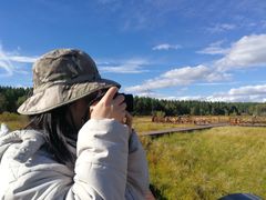 -塞罕坝国家级自然保护区