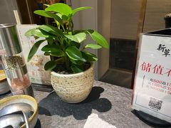 -新草堂锅物料理(泉城路店)