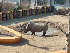 -西霞口神雕山野生动物世界