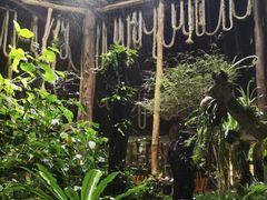 -绿光森林餐厅