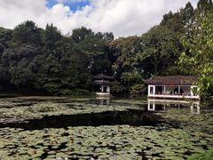 -杭州植物园