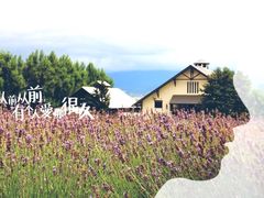 -富田农场