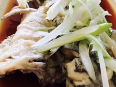 -胖大姐黄辣丁鱼庄(新津店)