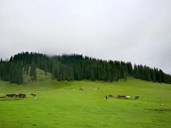 -新疆那拉提国家旅游度假区