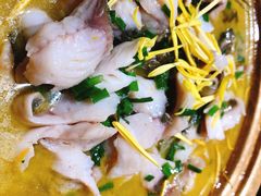 金汤鲈鱼-老滇山寨•云南特色菜•地方菜•民族风情歌舞表演(金碧店)