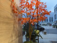 -唐宫足道·SPA·住宿24H会所(木渎店)