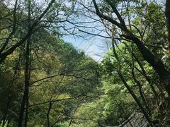 -藏龙百瀑风景区