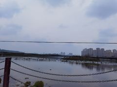 -艾麻子奶汤面(文庙街店)