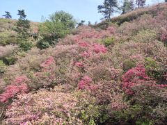 -木兰云雾山