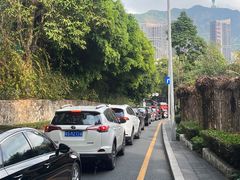 -深圳仙湖植物园