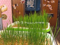 -怪兽炸鸡.轻沙拉(锦州店)