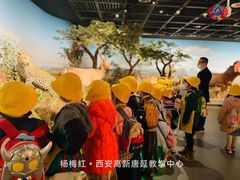 -杨梅红艺术教育(西安高新唐延教学中心)