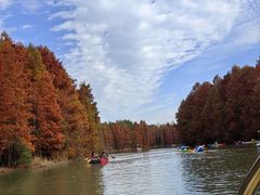 -上海海湾国家森林公园