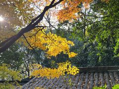 -杭州半山国家森林公园