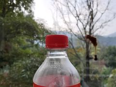 -海兰云天度假区温泉