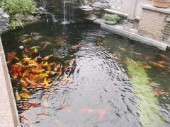 -顺德了能馆(虎门店)