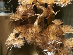 -百富源·海鲜辽菜(浑河堡店)