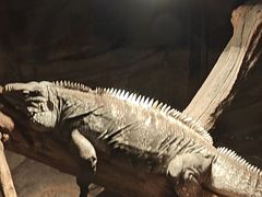 -济南野生动物世界