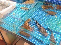 水产区-東城故事·尋找姆媽的味道(玉兰路店)
