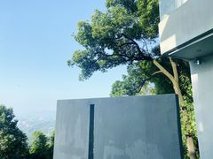 -南山植物园