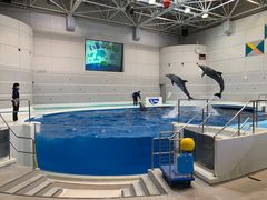 -鹿儿岛水族馆