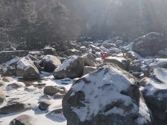 -青峰峡国家森林公园