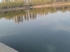 -燕郊植物园