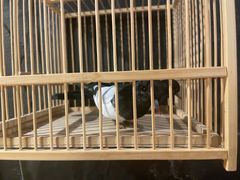 -了凡国风主题茶馆·咖啡(武侯祠锦里店)