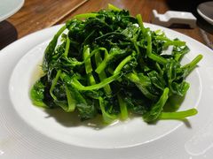 清炒豌豆尖-金枝玉叶上海人家食府(三里河店)