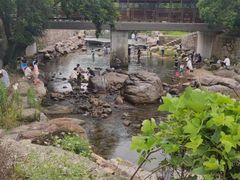 -北仑森林植物园