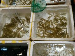 -青竹园海鲜餐厅(海天路店)