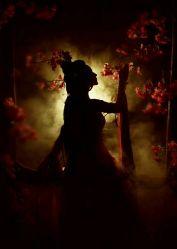 -盘子女人坊生日照·摄影馆(华强店)