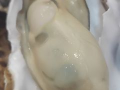 -爱蚝屋