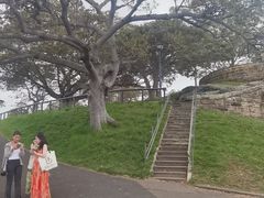 -麦考利夫人座椅