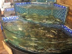 水产区-浩运·海鲜青岛菜·海胆水饺(石老人店)