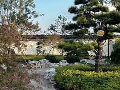 -上海滨江森林公园