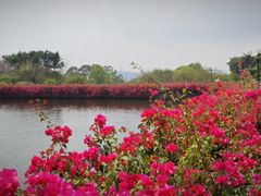 -广州莲花山旅游区
