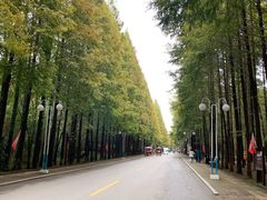 -日照海滨国家森林公园