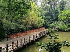 -沈阳植物园