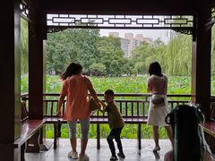 -莲湖公园