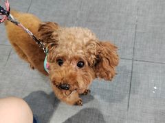 -荔康动物医院(康王北路店)