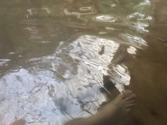 -龙达温泉生态城
