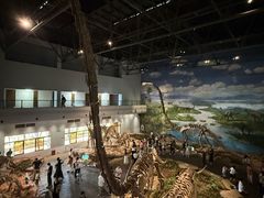 -自贡恐龙博物馆